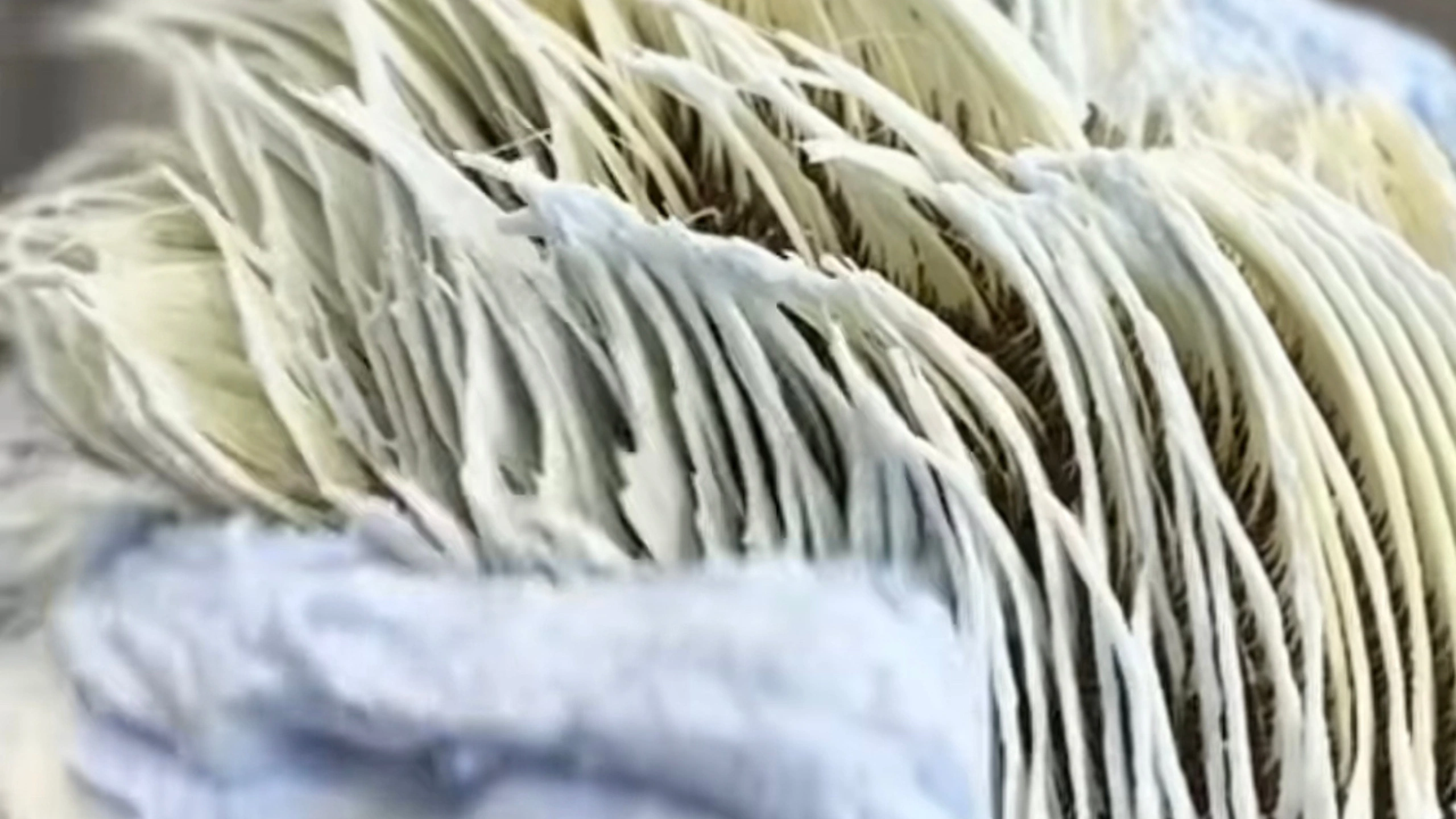 diseno sin titulo Perfect 1