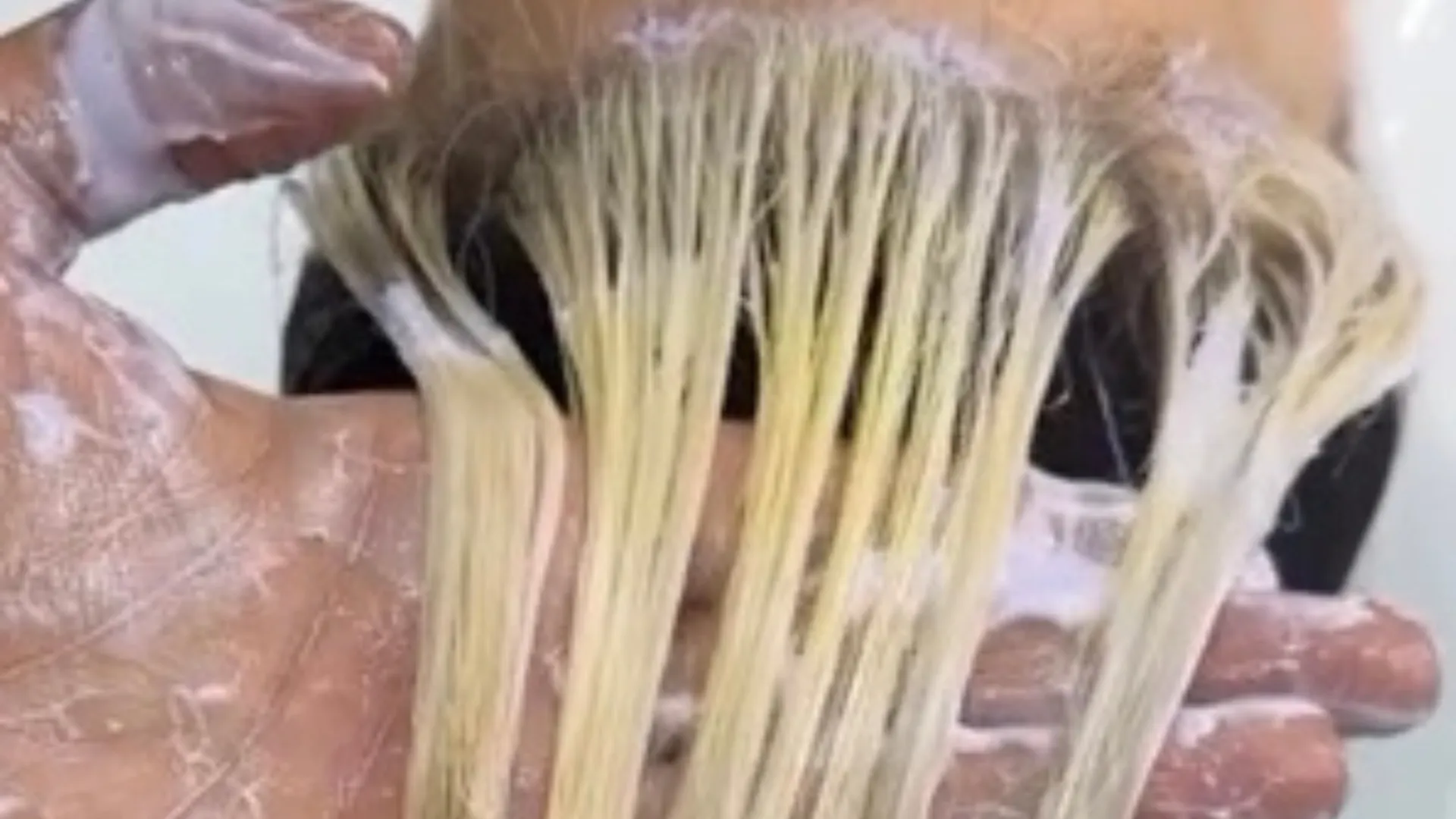 Diseno sin titulo.png 7 convertido de PNG