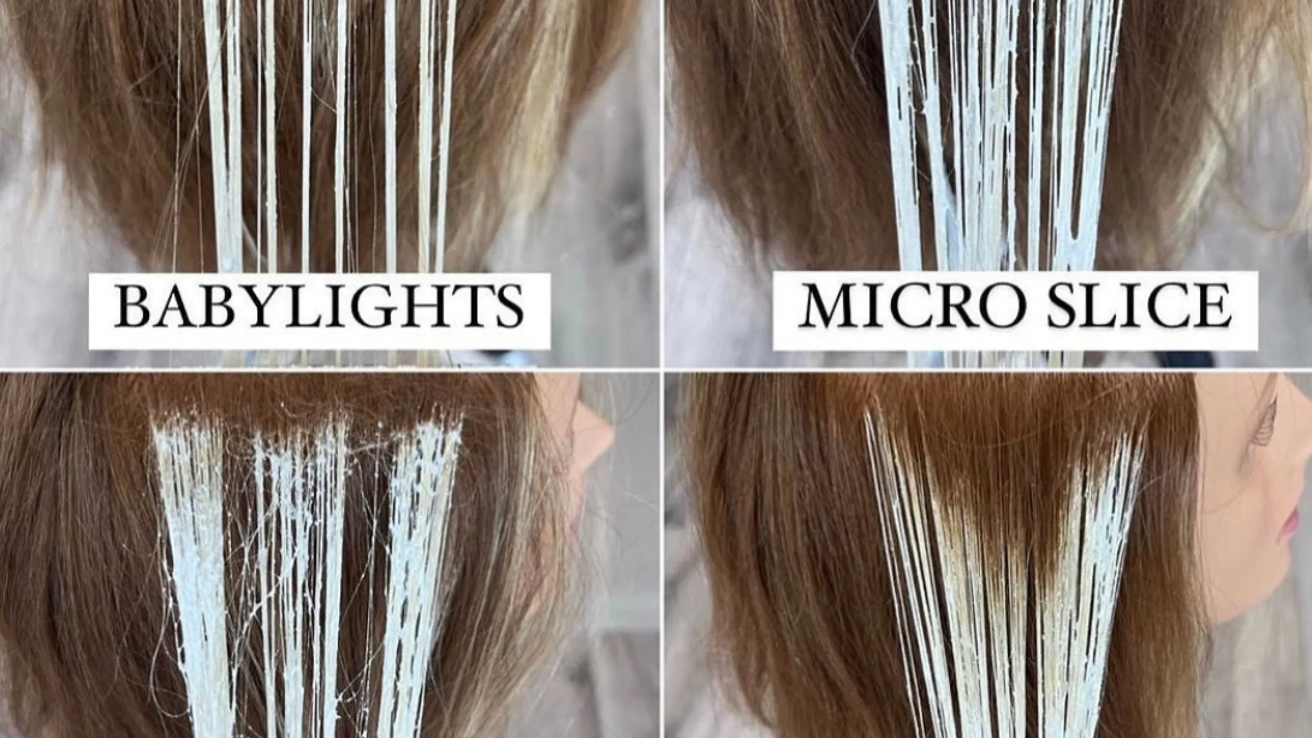 Diseno sin titulo 8 convertido de png