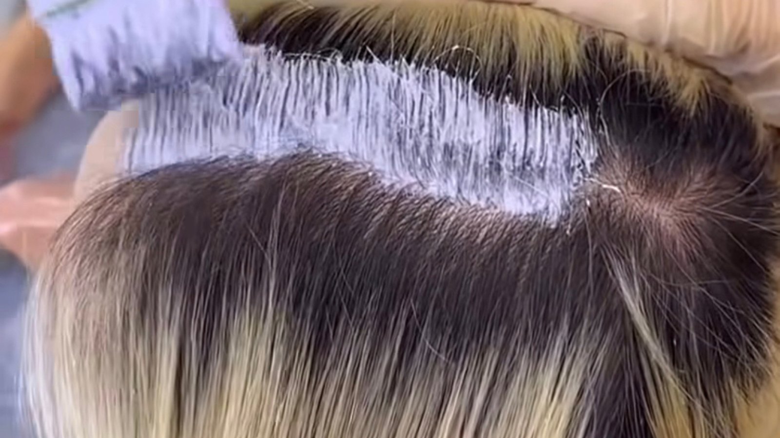 Diseno sin titulo 16 convertido de PNG